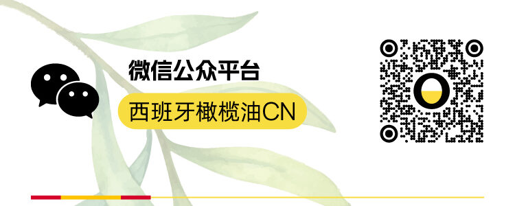 微信公众号二维码