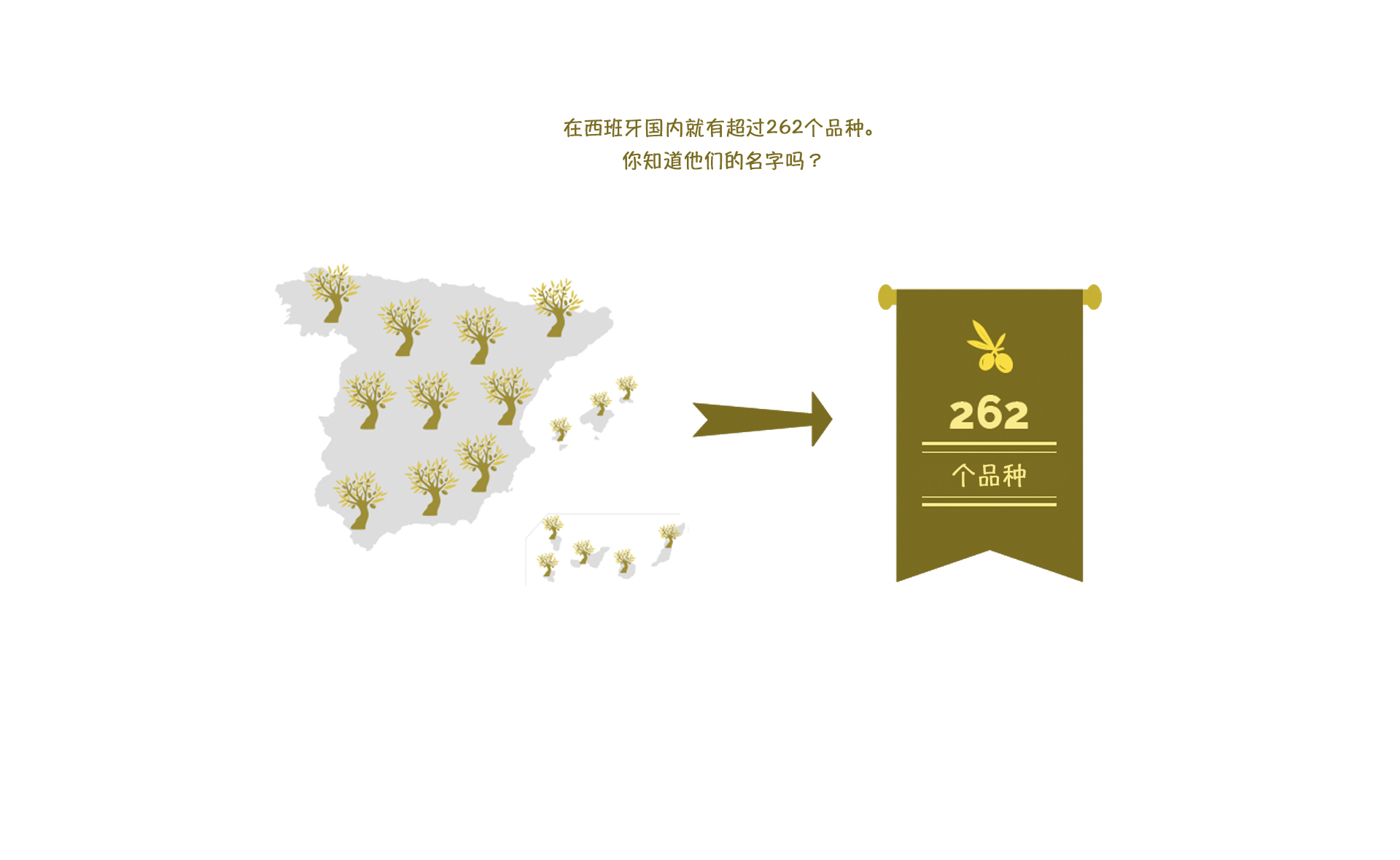 03 – 西班牙，全球领导者