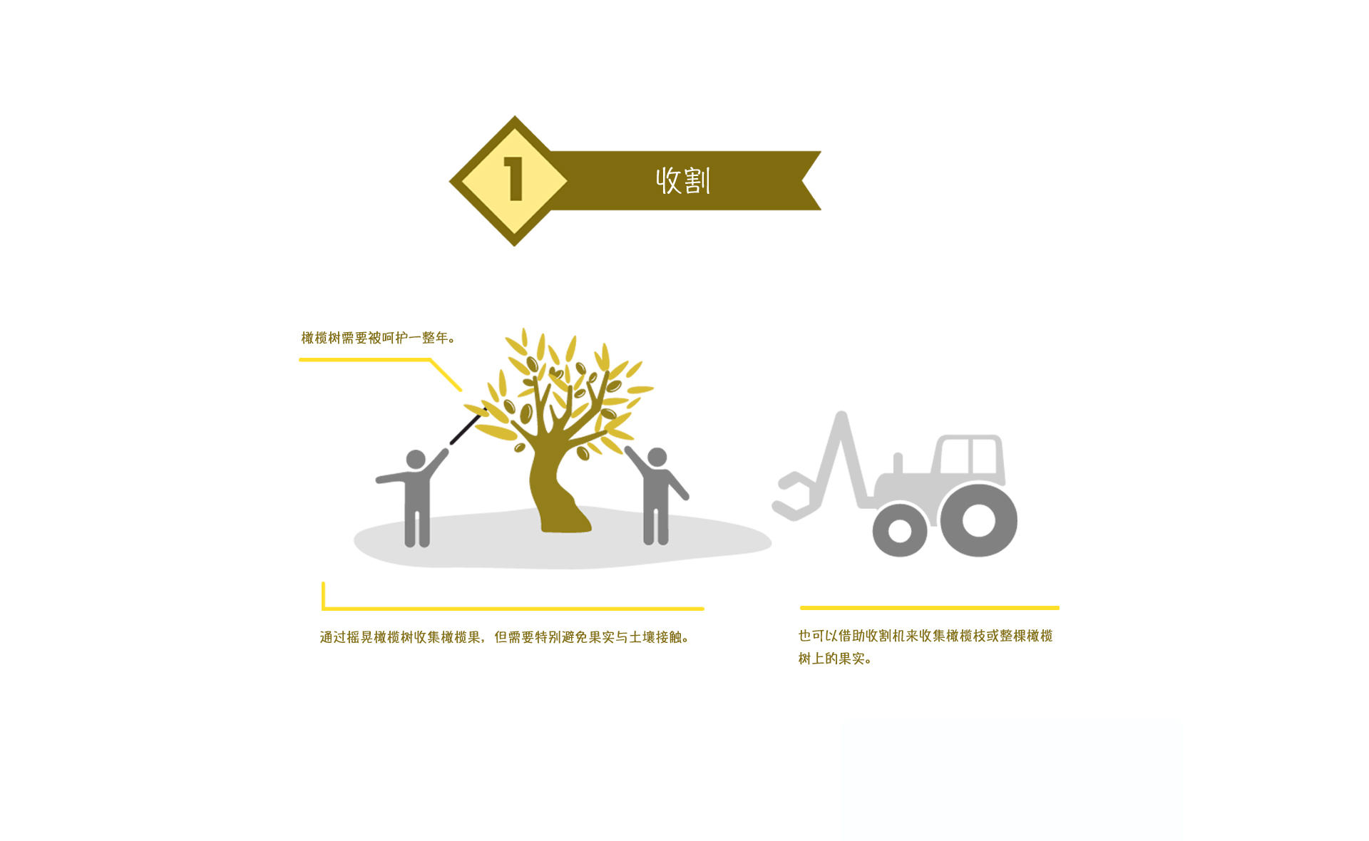 02 – 西班牙，领先的生产者